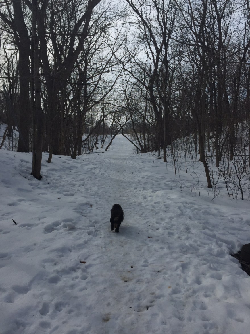 I also went on a hike in the freezing cold. I had a clear head and ten frozen toes by the end.