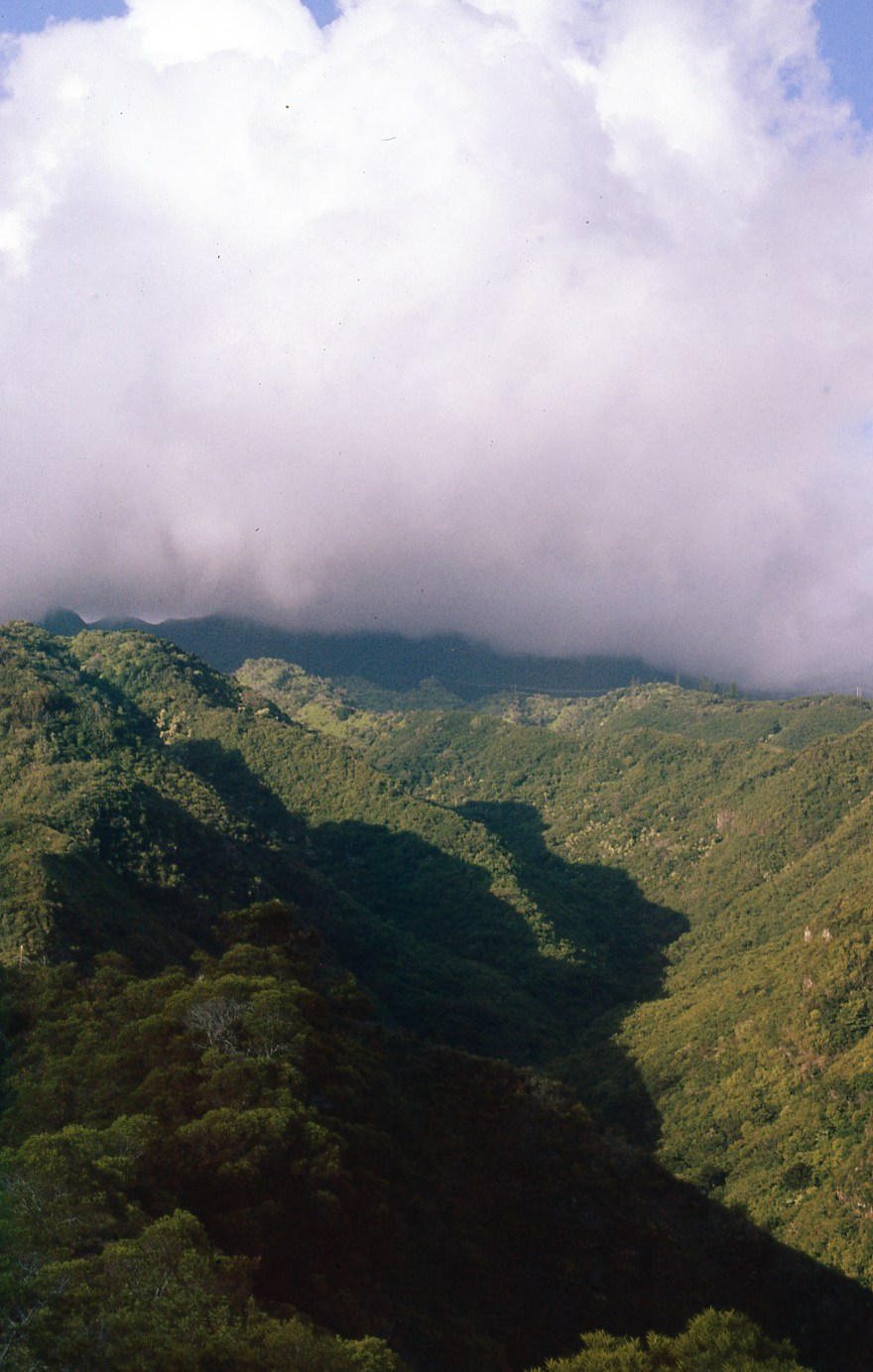 Provia 400x (200)003